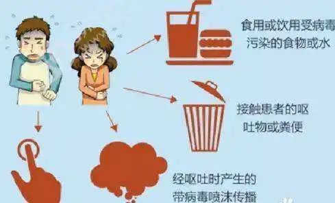 諾如病毒傳播途徑 諾如病毒傳播途徑